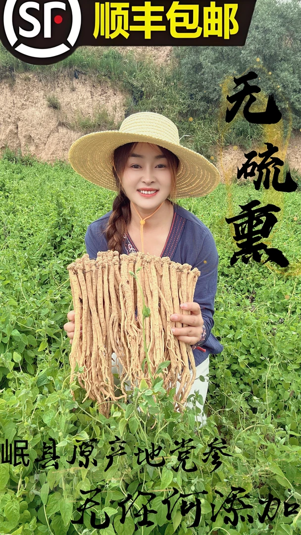 【当当专属】岷县原产地无硫熏党参特大条（顺丰包邮）