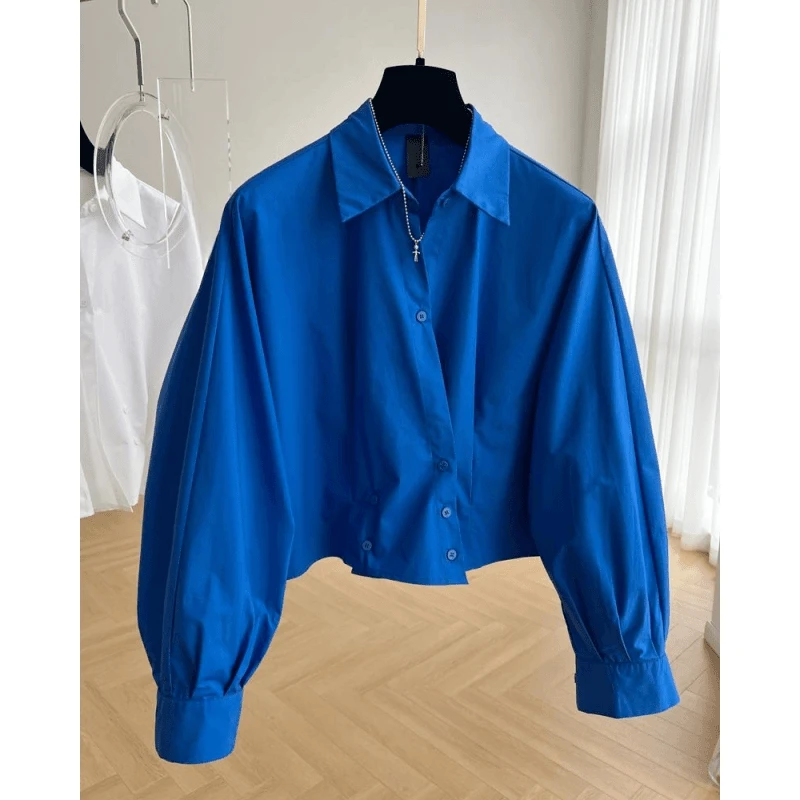 2024款设计感小众独特别致斜门襟长袖短款衬衫女春秋小衫法式上衣