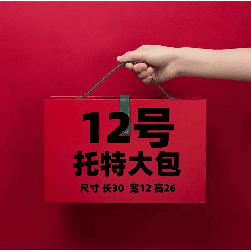 【12号】TT 2023轻奢时尚百搭AB面大托特包77223