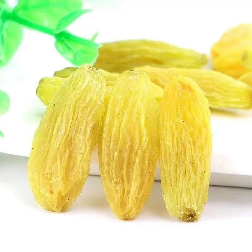 【新货】新疆特级葡萄干超大颗粒树上黄葡萄干零食2斤/5斤自然风干