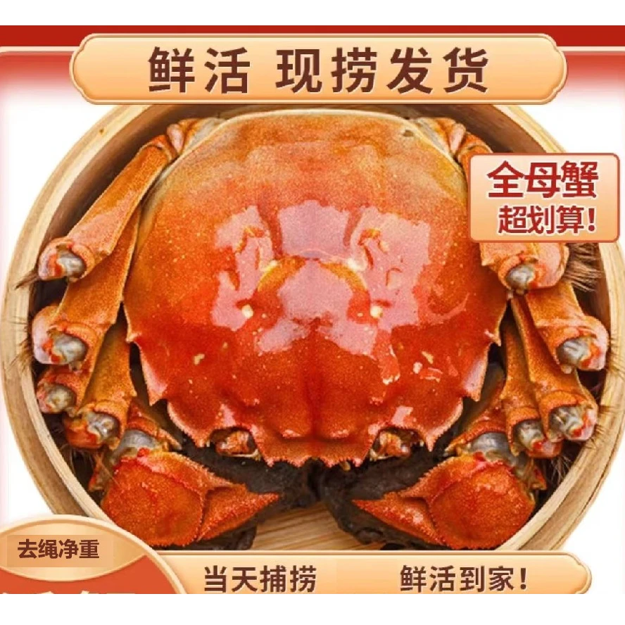 【精品母蟹】2.3-2两8/10只汈汊湖新鲜大闸蟹活蟹源头鲜活送达
