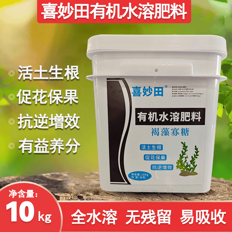 【廖师傅讲柑橘】褐藻寡糖有机水溶肥柑橘树调节土壤生根壮苗促增产