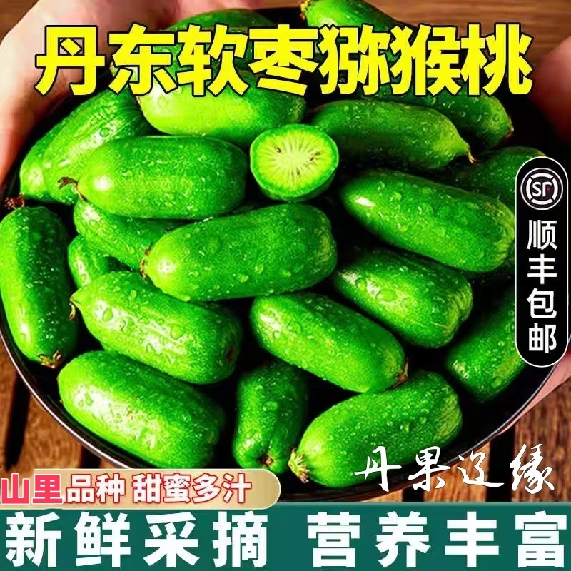 丹东软枣猕猴桃软枣子圆枣子吃软不吃硬营养孕妇水果顺丰包邮