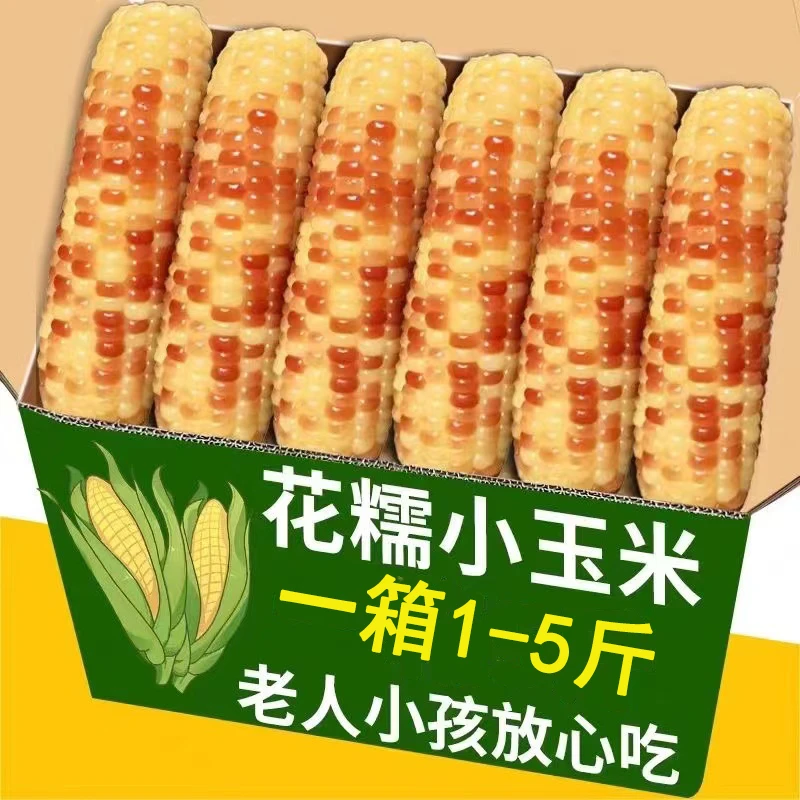西双版纳花糯玉米代餐开袋即食免煮香糯真空包装饱满低卡低脂零食