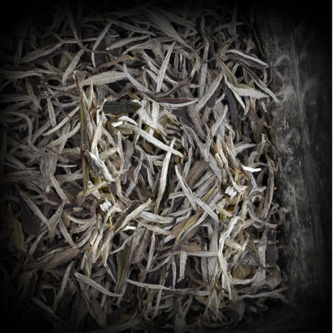 头春花香白牡丹100克/袋