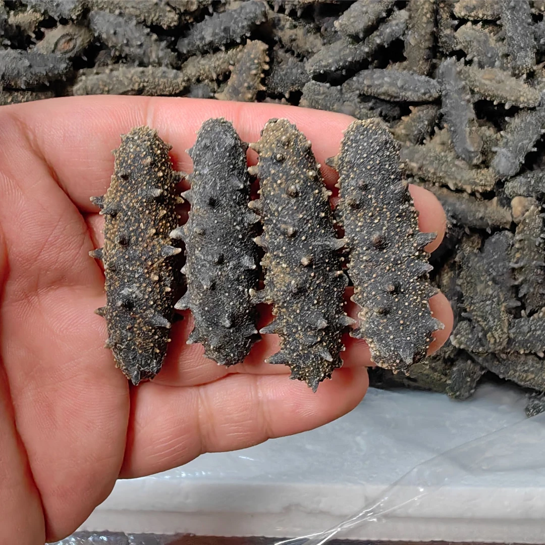 大连底播辽参 干海参 肉质厚 参龄足 营养高 规格全 500g 泡发8斤