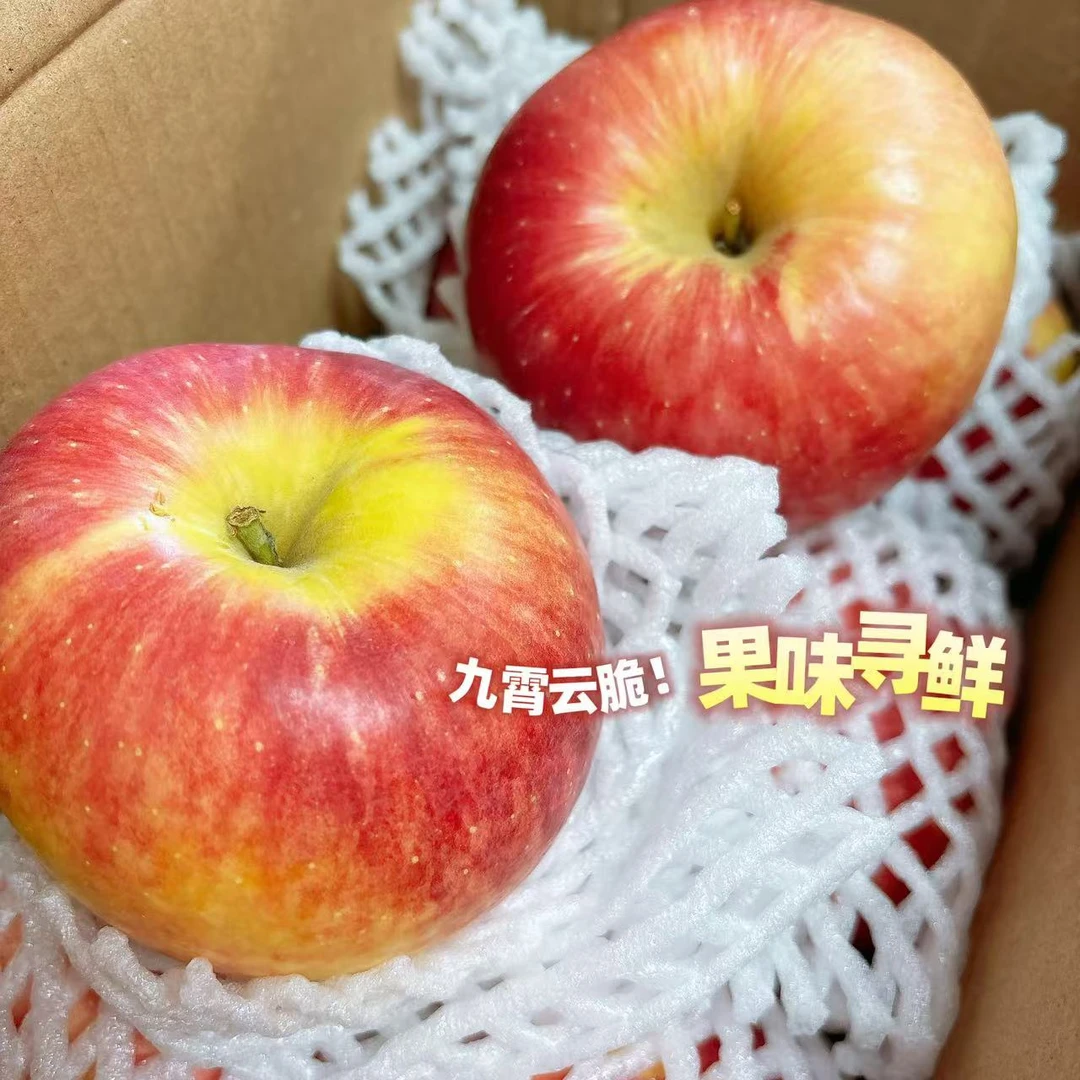 九霄云脆 红富士苹果 净重4.5斤 好大一颗红苹果