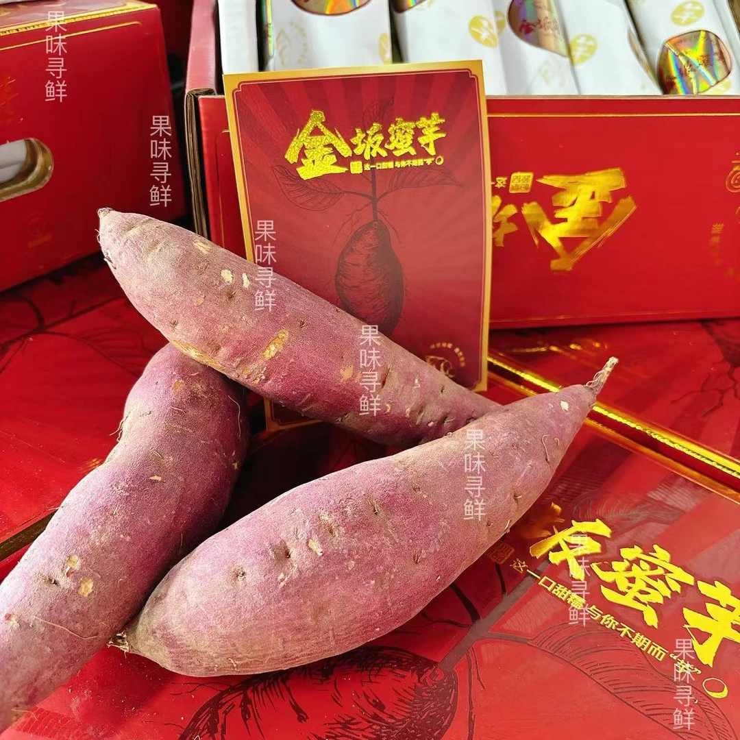 金坂蜜芋 红薯 净重5斤左右 带箱6斤 【只发河南省】