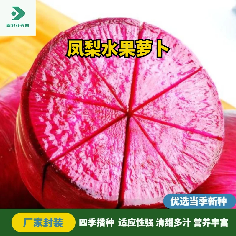 凤梨水果萝卜种子甜脆四季阳台庭院家庭种植蔬菜种子新型水果种子