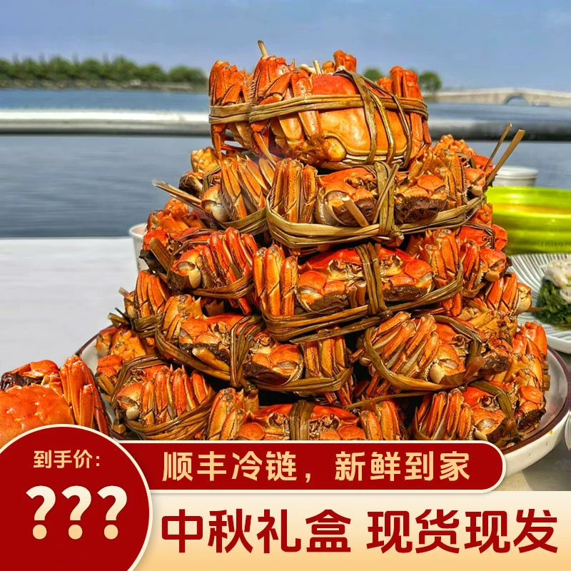 【活蟹现发】中秋礼盒全母蟹2两6只装顺丰包邮蟹农直销