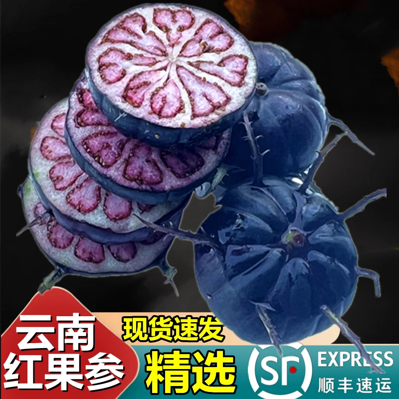 顺丰邮精选云南红果参水果当季新鲜整箱算盘应季稀少红蜘蛛果孕妇