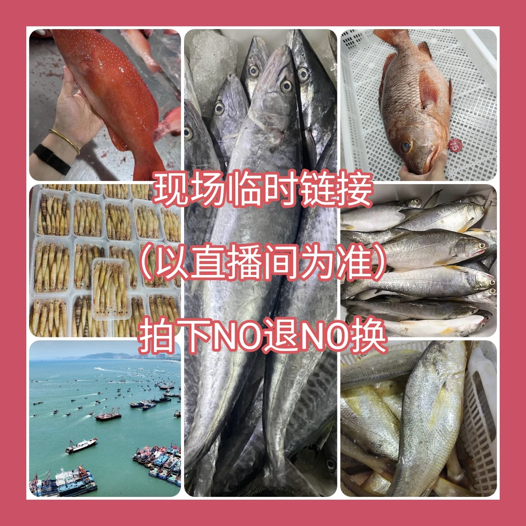 汕尾本港海鲜批发码头直播现场现称现拍临时链接NO退No换