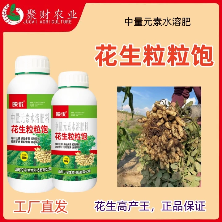 产品生长粒粒饱绿叶壮棵颗粒饱满提高产量王产品增产花生专用农肥