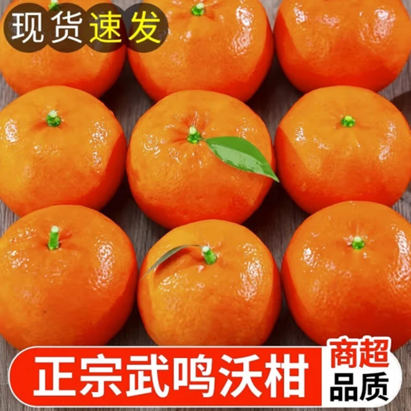 【粉丝福利】广西武鸣沃柑新鲜应季水果超甜当季桔子