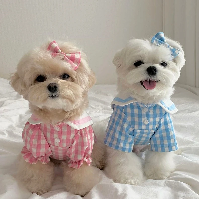 宠物情侣装秋季泰迪裙子比熊博美约克夏小型幼犬贵宾猫咪狗狗衣服