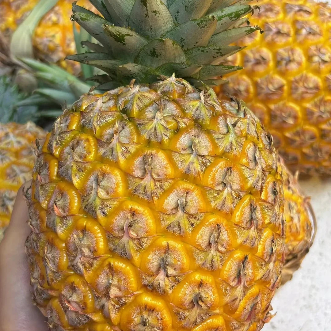 【老沙严选】木艮本“芒果凤梨”香甜多汁两颗/2.8斤左右