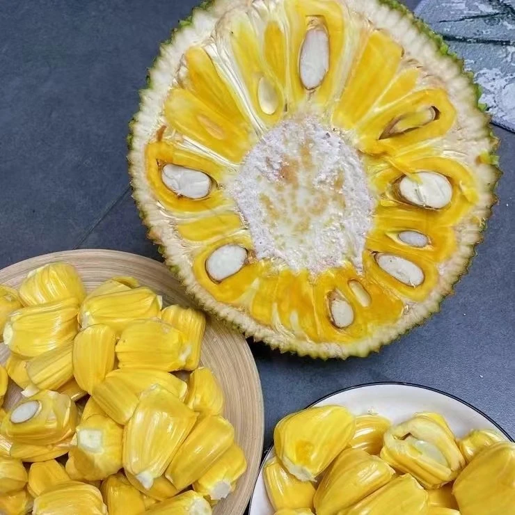 【老沙严选】 越南红肉新鲜“菠萝蜜”整果8斤起