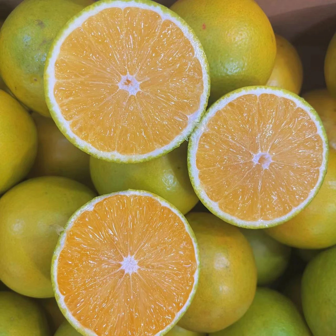 【老沙严选】新鲜到货 云南高原王子橙 5/10斤