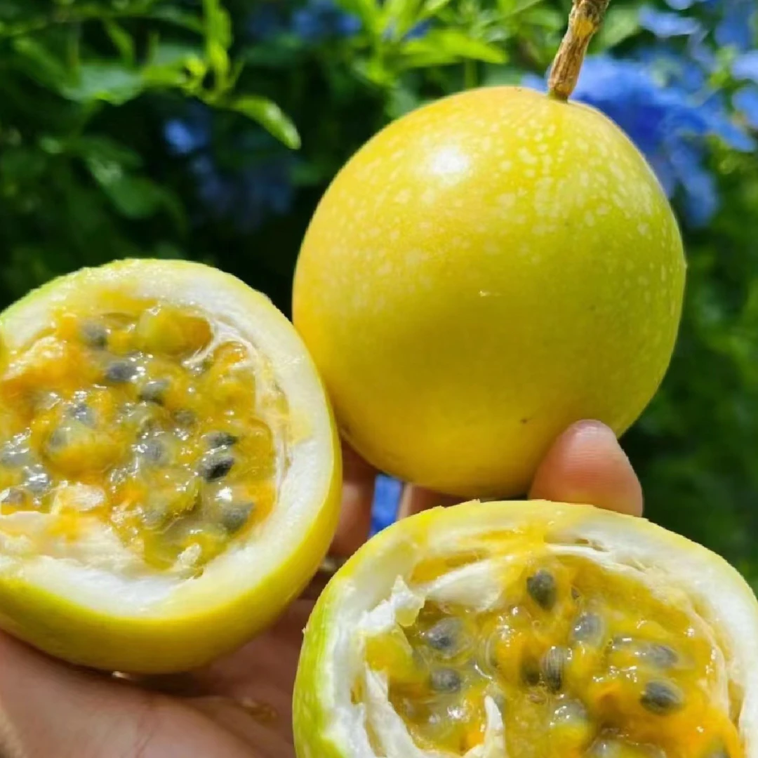 【老沙严选】甄选十八度果缘“黄金百香果”散装 2/4 斤发货