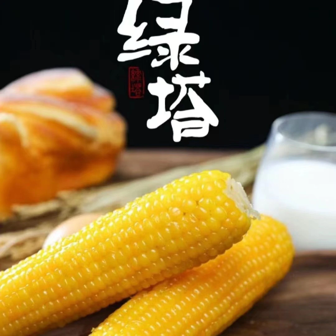 【老沙严选】东北“绿塔”玉米净重3斤以上