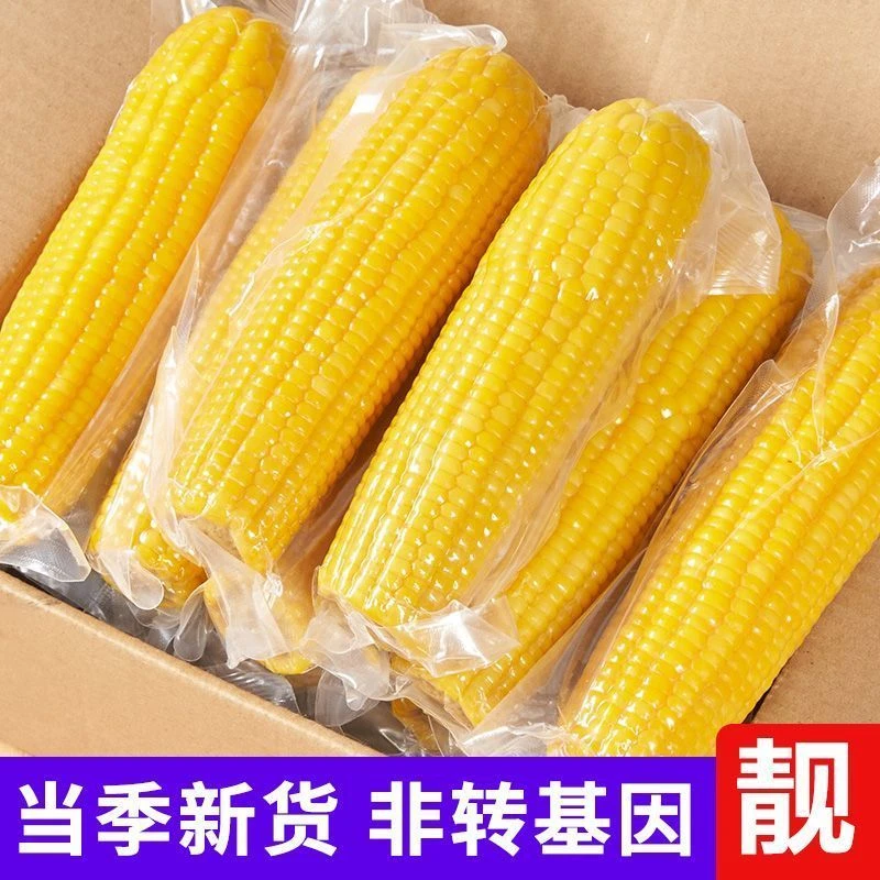 新鲜粘玉米棒黄糯玉米黑龙江粘玉米冷冻东北甜粘糯玉米多规格