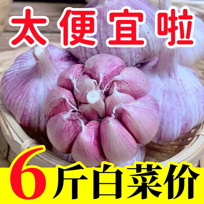 【太便宜啦】山东紫皮大蒜头干蒜5斤新鲜精品大蒜新干蒜头150g批