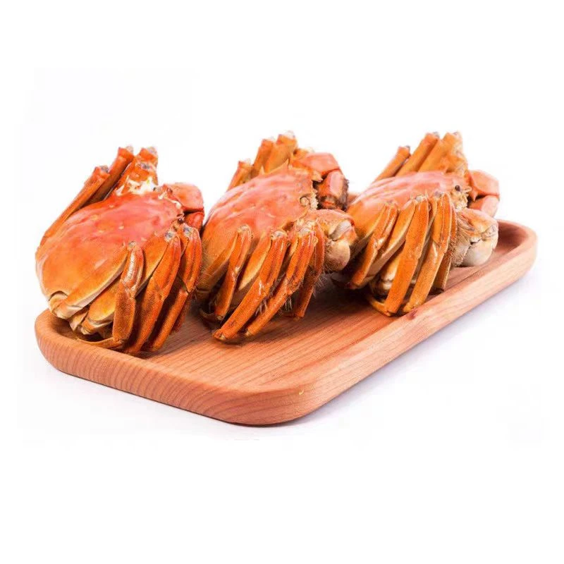 精选肥蟹 2.5两 肥美