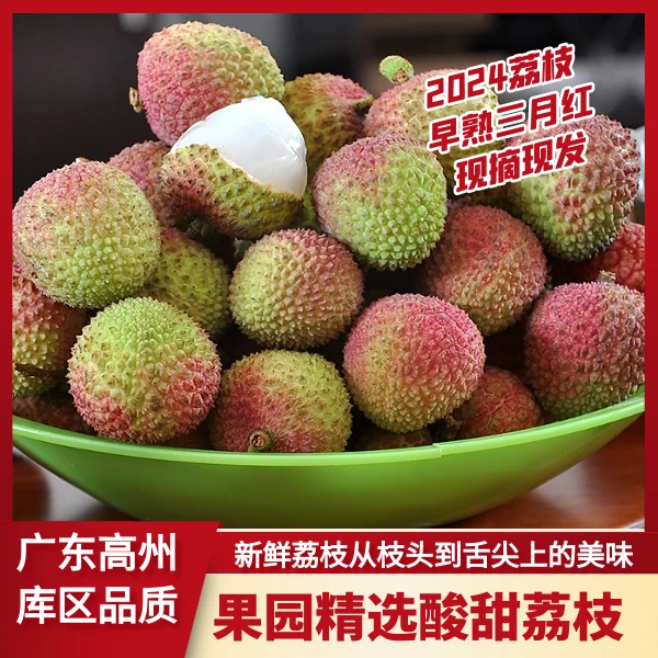 三月红荔枝孕妇水果酸甜荔枝现采摘现发高州新鲜3/5斤包邮