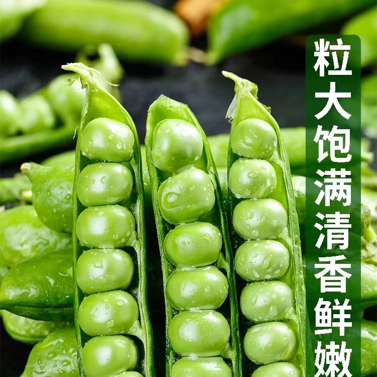 云南高原农家露天种植新鲜豌豆应季蔬菜1斤/3斤/5斤包邮颗粒饱满