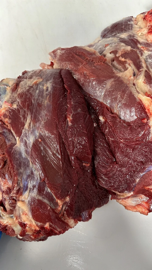 【新鲜马腿肉】不退 不换