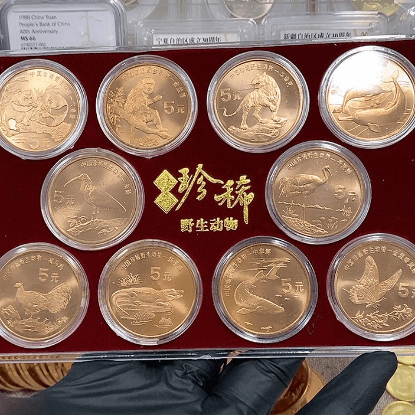 【闪购商品】铜瑕疵品，珍稀动物纪念币套装
