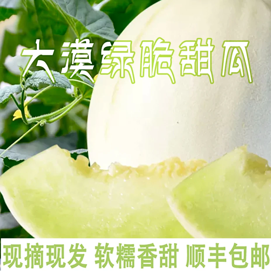 甘肃民勤白兰瓜3-4斤