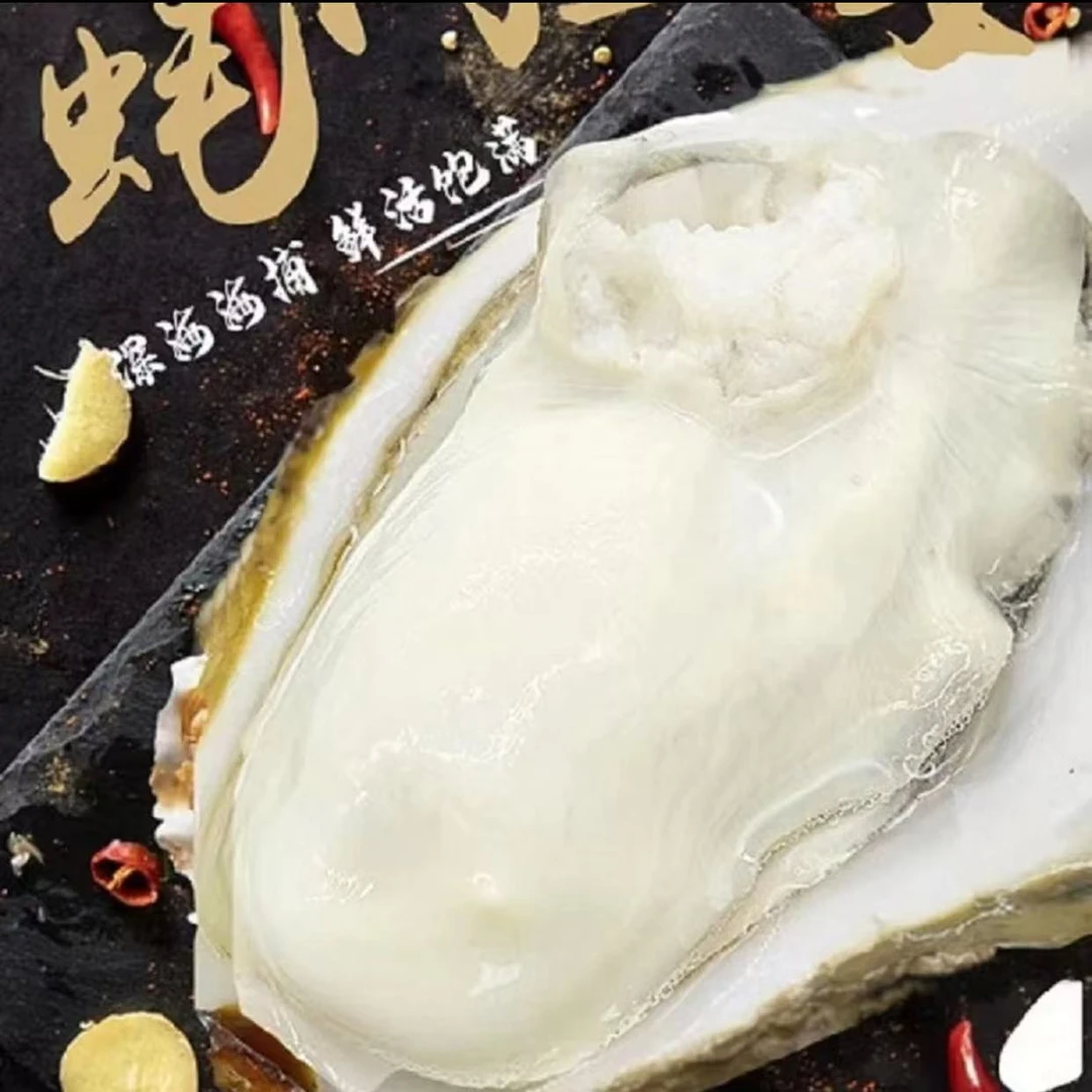 新鲜生蚝  肉质饱满4＋规格  到手8斤16个左右新鲜发货