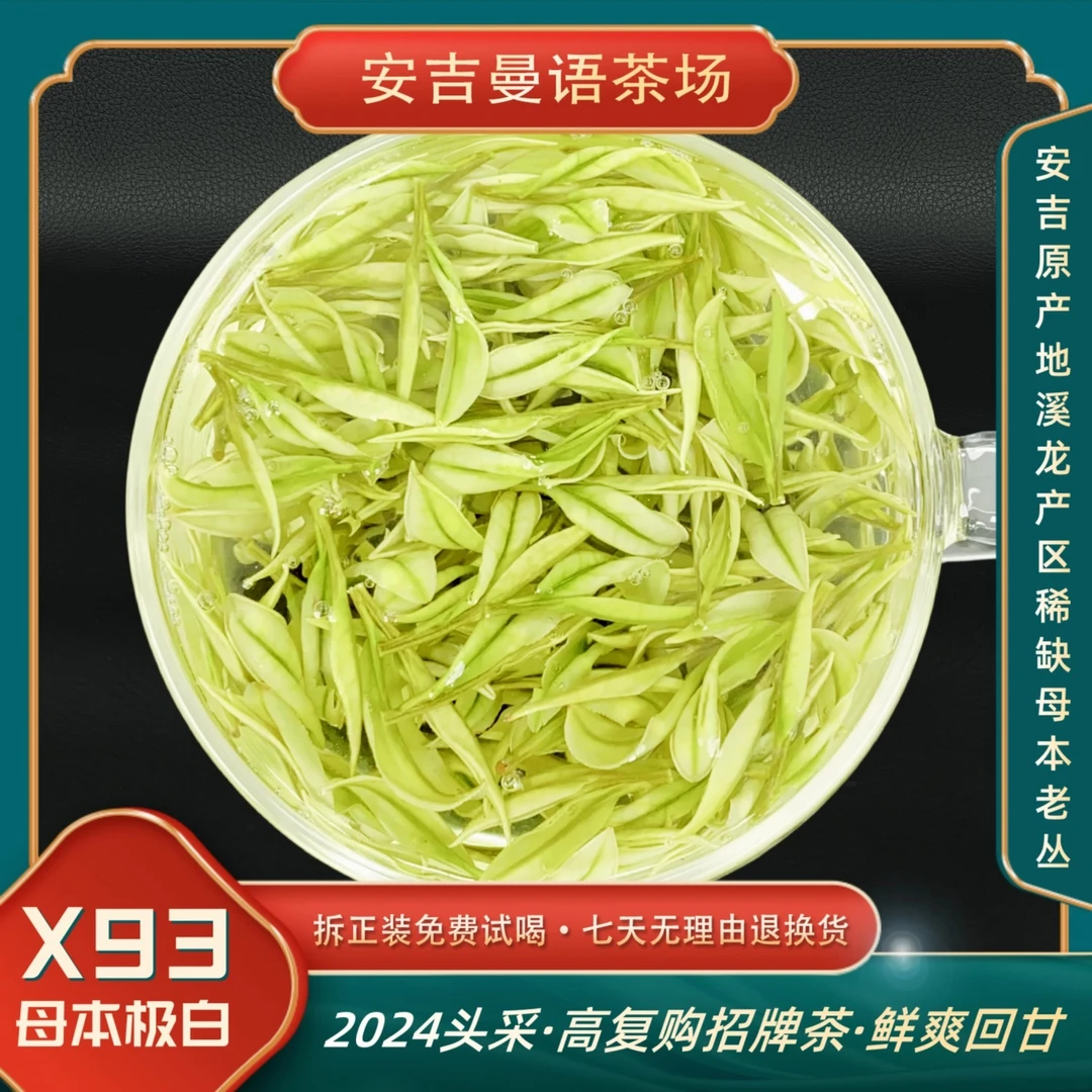 【玉叶金柯X93】2025新茶 母本极白 安吉原产地白茶 兰花香 明前茶