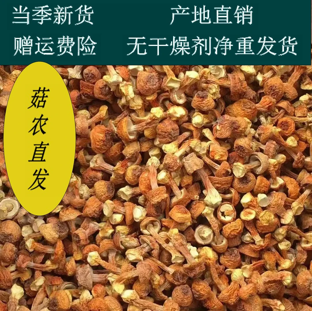 农家新货无硫熏本色姬松茸巴西菇食用菌煲汤食材