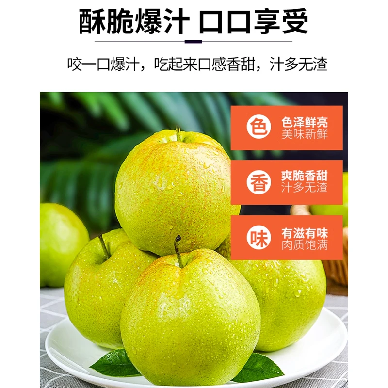 【顺丰】山西隰县玉露香梨应季水果新鲜脆甜爆汁无渣正宗原产地
