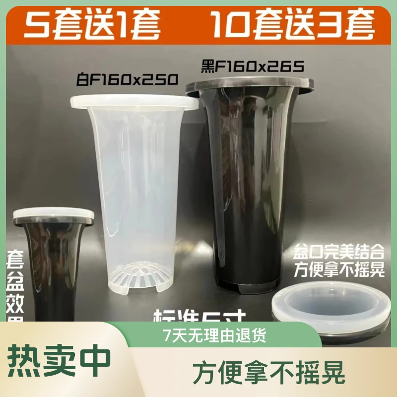 透明兰花套盆加厚塑料盆简约设计兰草专用透气沥水