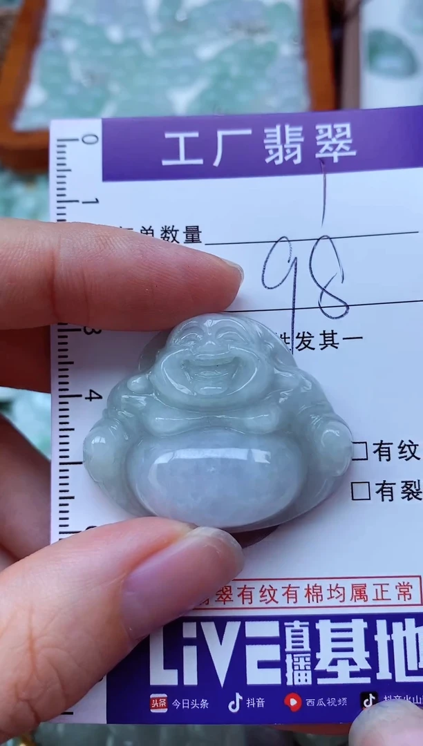 【闪购商品】翡翠颈饰未镶嵌翡翠