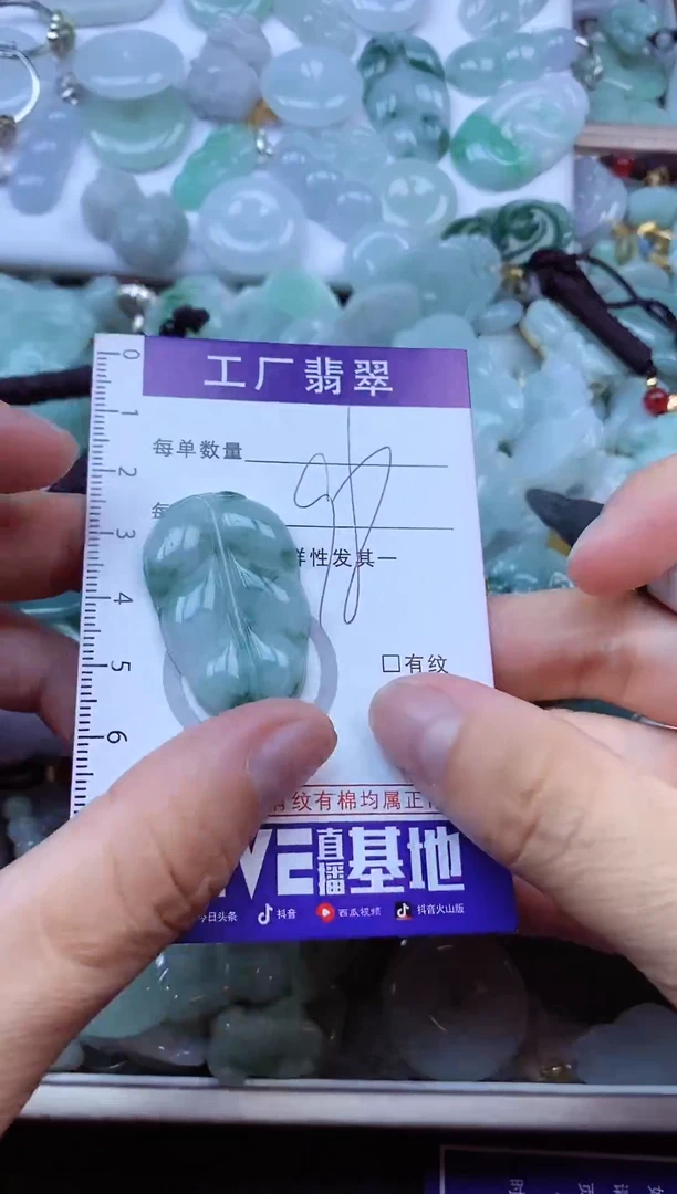 【闪购商品】翡翠颈饰未镶嵌翡翠