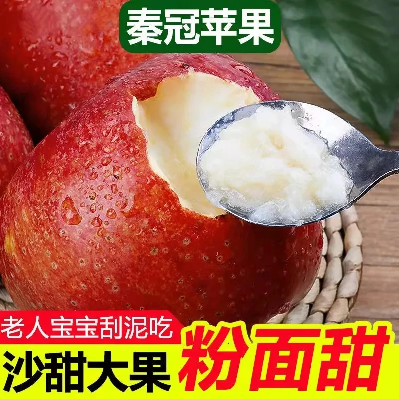 秦冠苹果可脆可粉面沙甜当季新鲜水果宝宝辅食老人刮泥糖心苹果