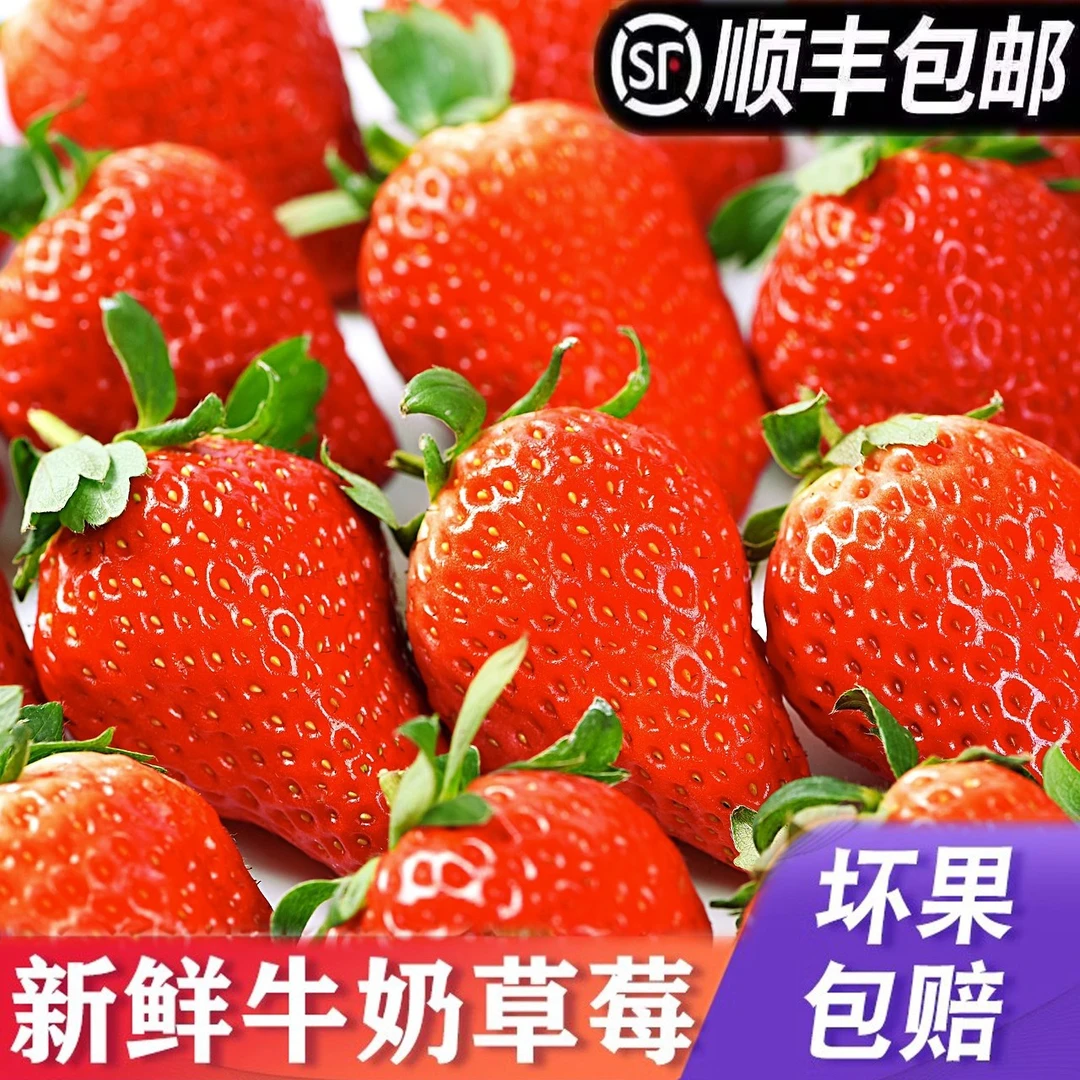 现摘现发新鲜草莓当即水果红颜奶油草莓大草莓孕妇顺丰包邮现货