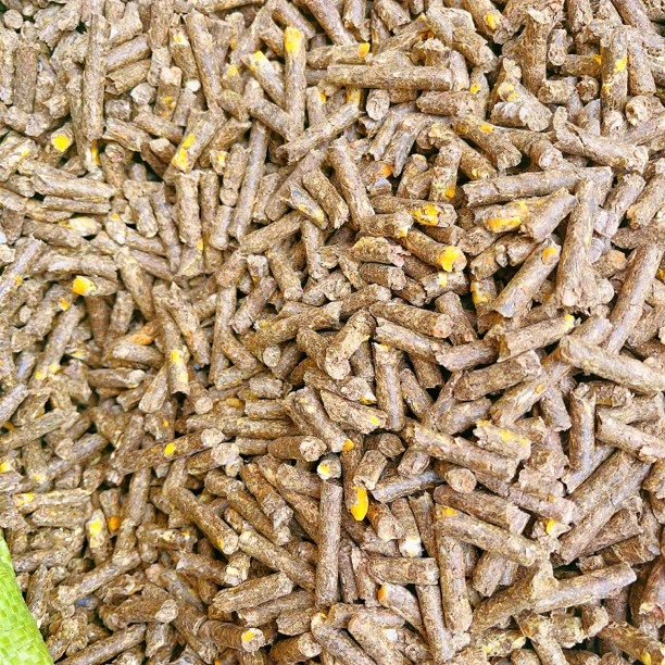 1KG花生秧加20%玉米熟化颗粒  牛羊草料 适口性好 营养丰富