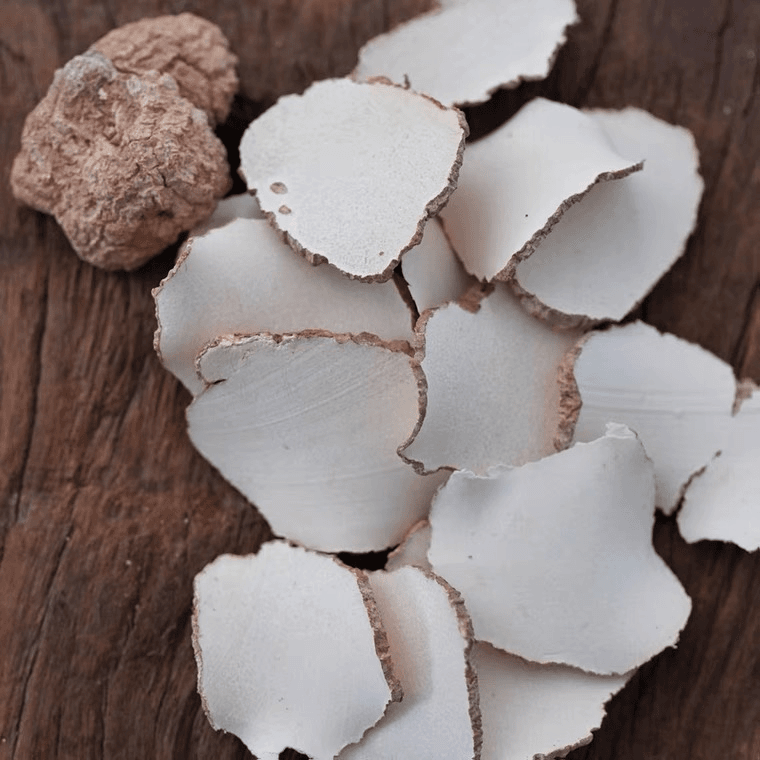 云南土特产 高山虎乳菌 现收农产品500g