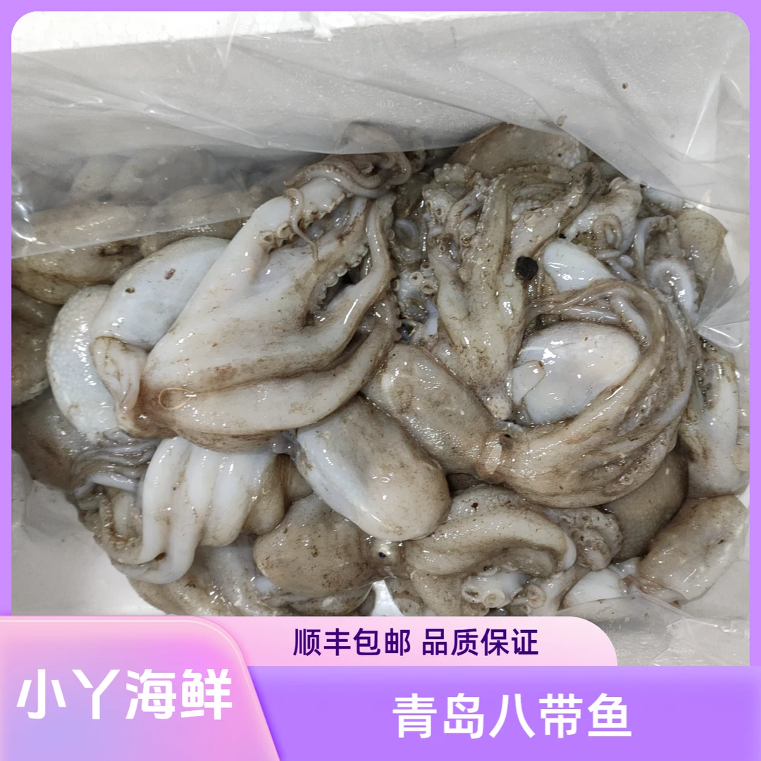 【新鲜八爪鱼 本地不泡水】青岛本地八爪鱼  新鲜爽脆 顺丰发货