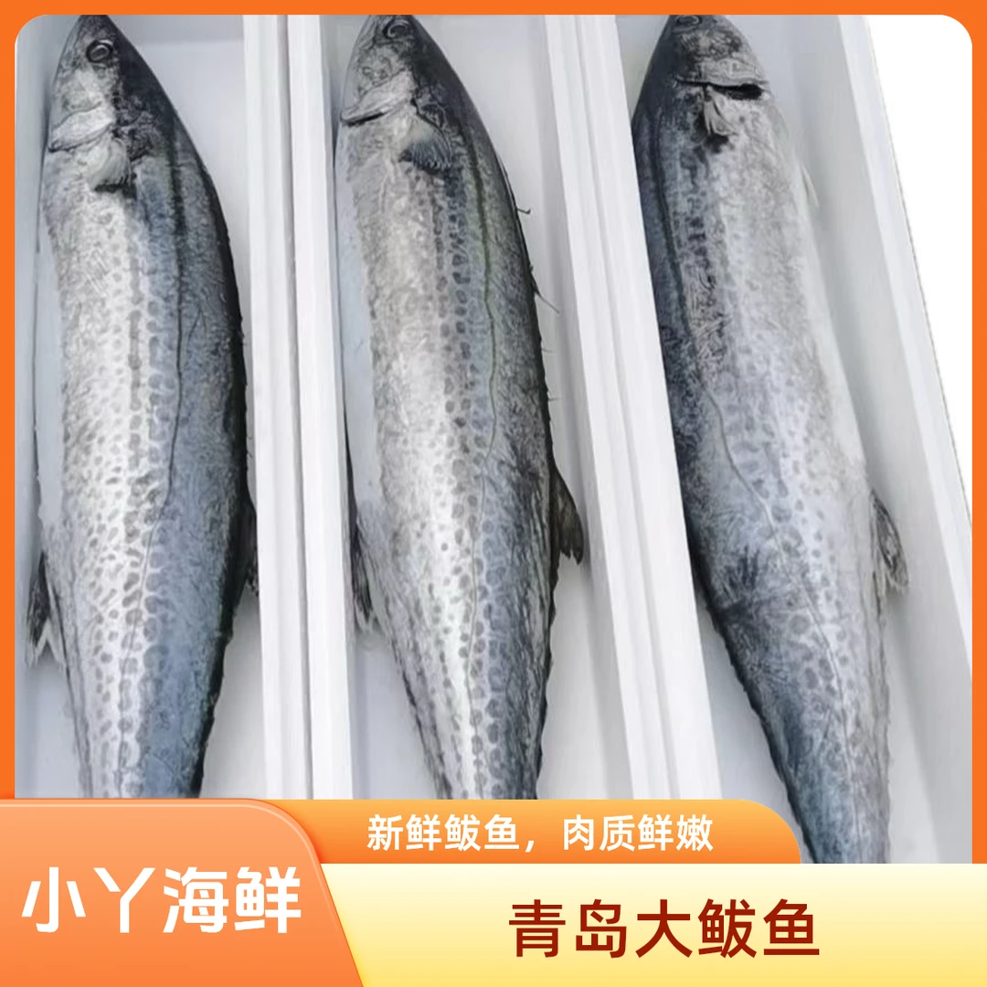 【青岛大鲅鱼】青岛原产地沙子口大鲅鱼顺丰发货