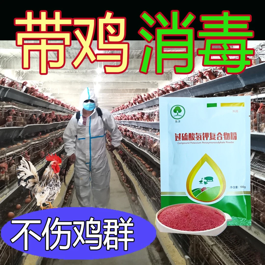 过硫酸氢钾复合物粉鸡舍消毒安全高效不伤鸡苗带鸡消杀最新配方