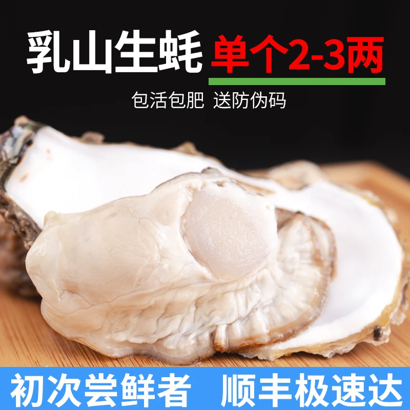 生鲜哥专属丨单个2-3两 5斤整箱 正宗乳山生蚝 清蒸刺身 顺丰包邮