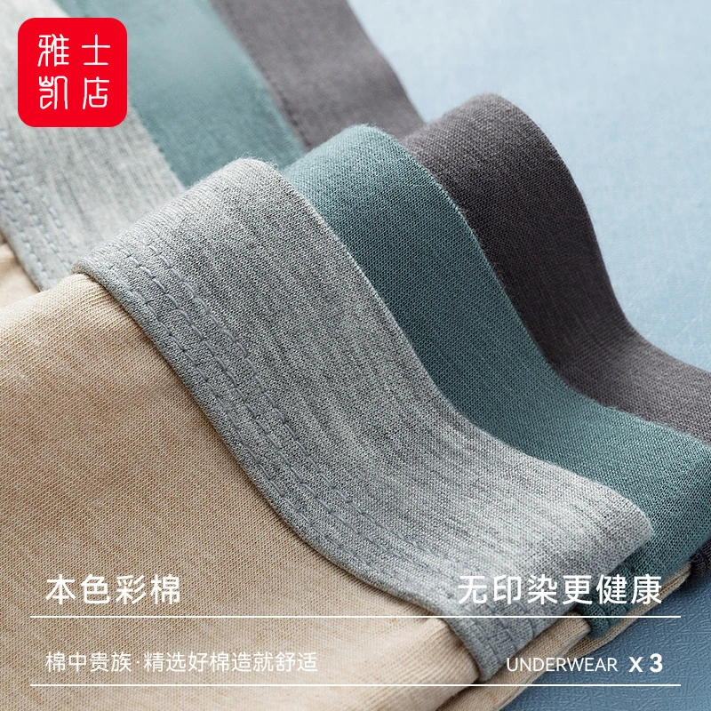 【整条10A级抗菌】天然彩棉男士内裤无染色健康舒适透气中腰平角裤