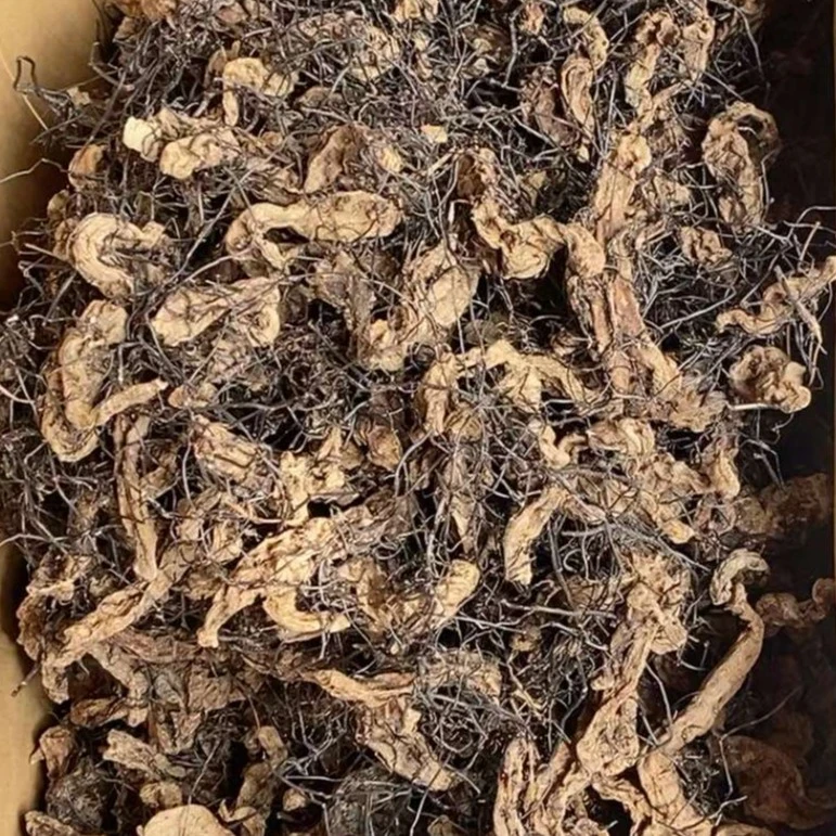 云南滋养菌丝天麻丝，煮水泡茶料