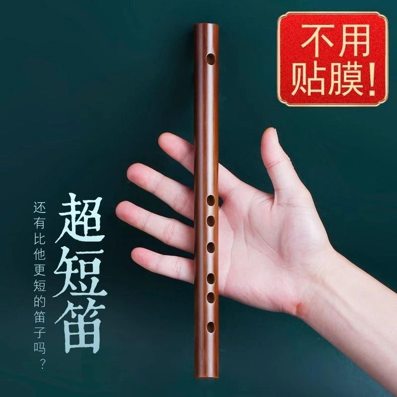 初学者呼和笛子成人学生演奏入门精品袖珍考级比赛素笛落雪FG素笛